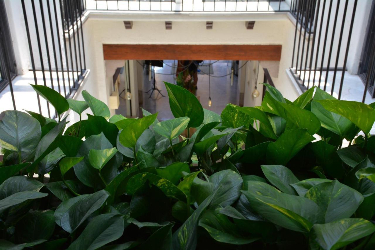 多纳乌拉卡圣米格尔 - 德阿连德酒店加Spa 圣米格尔－德阿连德 外观 照片